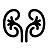 urologia